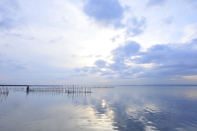 Albufera Tour