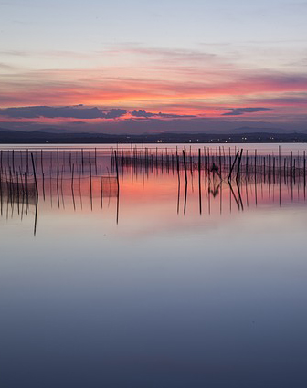 El mejor tour por la albufera de valencia. Visit Tour Valencia