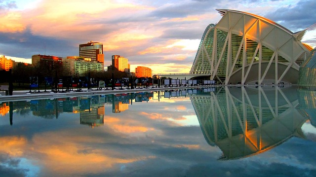 The best tours of the historical center and the City of Arts and Sciences.