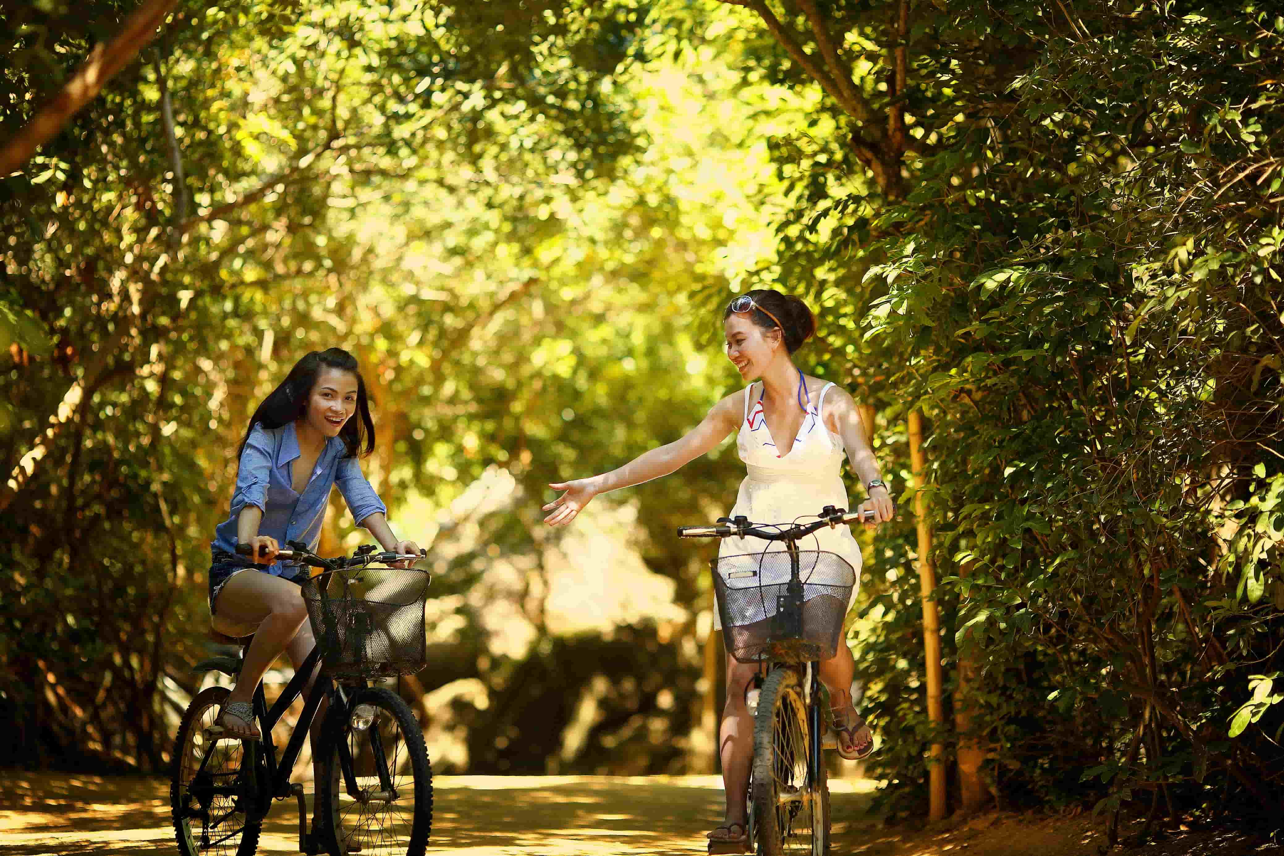 Bike tour y Segway, the best tourist guides and routes of Valencia.