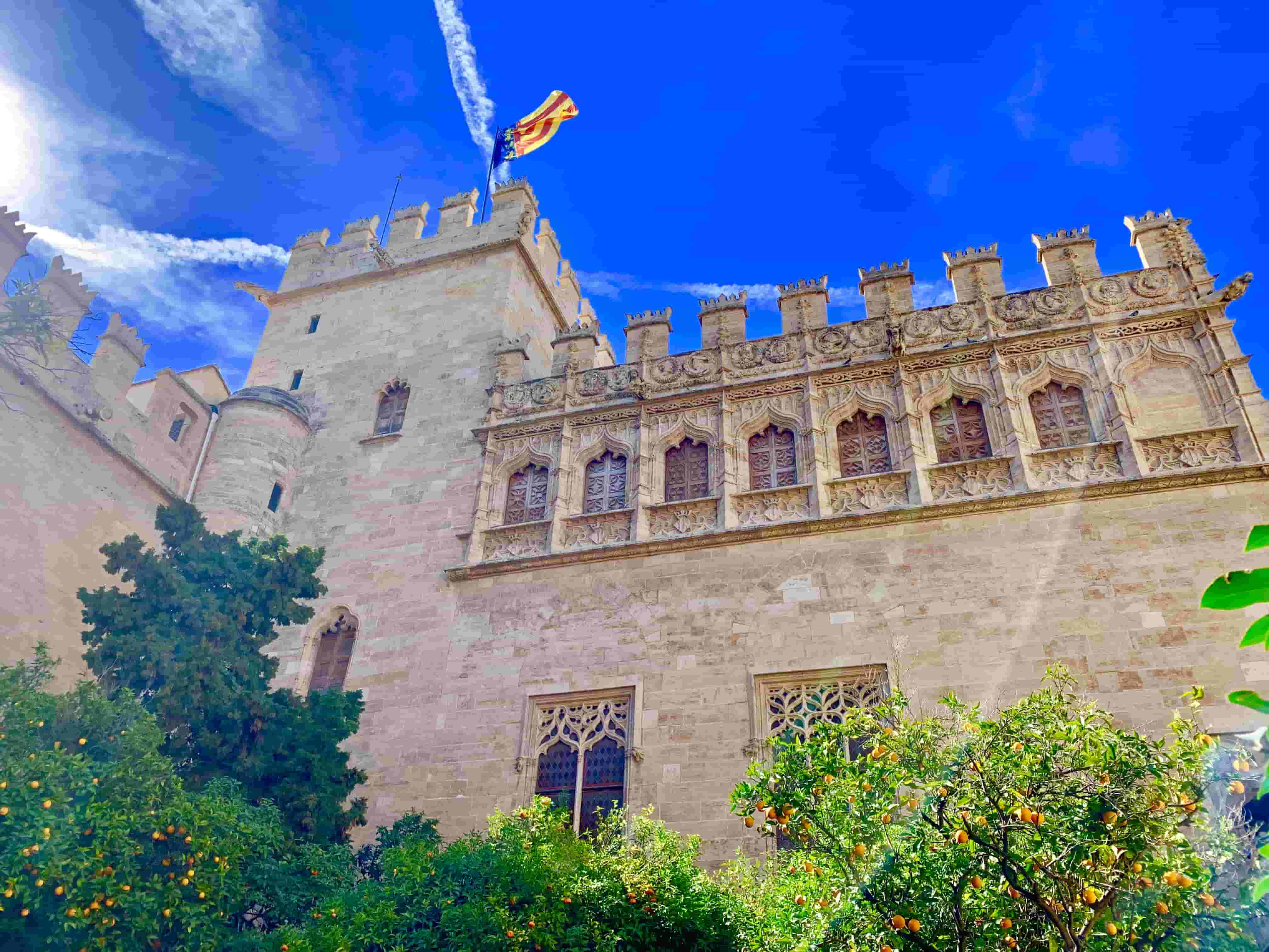 Visita per il centro storico di Valencia.